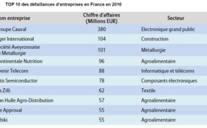 Qui résistera à la recrudescence généralisée des défaillances d’entreprises en 2017 ?