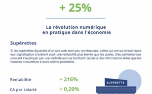 Observatoire de la digitalisation des entreprises françaises (Manageo)