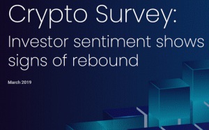 Crypto Survey: Investors Remain Bullish About Cryptocurrency and Blockchain Technology