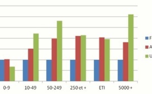 Le nanisme des sociétés françaises (1/3)