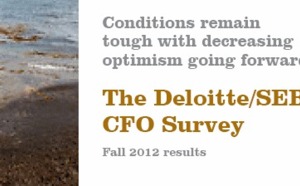 The Swedish CFO Survey - 2012