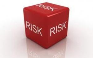 Shaping a Risk Intelligent Strategy