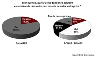 Salaires, bonus : que nous réserve 2013 ?