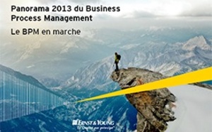 Panorama 2013 du Business Process Management