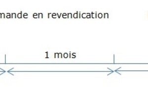 Dans quel délai peut-on faire valoir une clause de revendication de marchandises ?