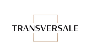 Transversale Conseil - Stagiaire analyste M&amp;A - 6mois - Jan/Mars 2025 - Strasbourg