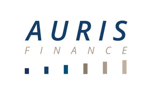 Auris Finance - Analyste M&amp;A – Stage – Mars 2025 - Nantes