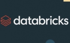 Databricks lève 10 milliards de dollars pour une valorisation à...62 milliards de dollars