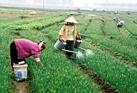 ProgiForum & CreditClients 2006 : Tout l’univers des progiciels en un seul clic