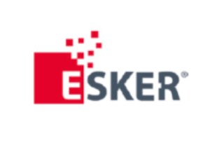 Nomination | Esker annonce la nomination de Dan Reeve en tant que membre du Comité Exécutif