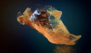 Reebok et Futureverse annoncent un partenariat pour lancer des expériences immersives dans le metavers dès 2024