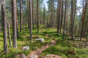 Nominations | AFI Ventures renforce ses équipes avec l&rsquo;arrivée Mamadou Dembele et Constantin de Chaudenay