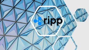 Le SMART CONTRACT, champion de la Blockchain