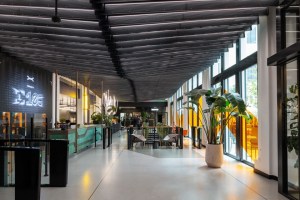 Dogizen, la prochaine grande crypto-monnaie ?