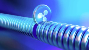 Les stablecoins s’imposent comme infrastructure clé du paiement numérique mondial