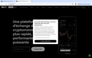 PLF 2025 : l&rsquo;Impôt sur la Fortune Improductive éliminé par 49.3 ?