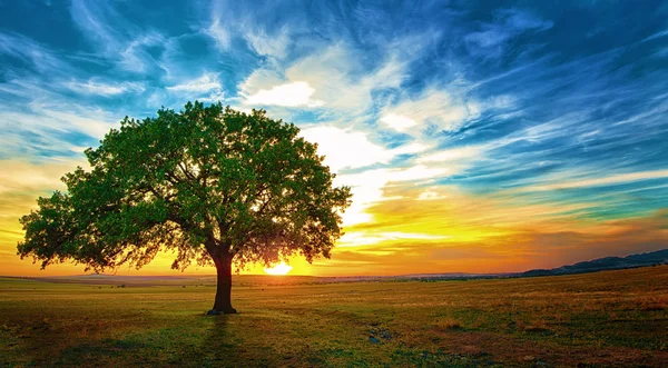 Tessi recrute 600 talents en 2022