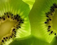 K2 blackpearl recoit le prix Product of the Year pour la gestion des flux de travail et des processus d&rsquo;affaires