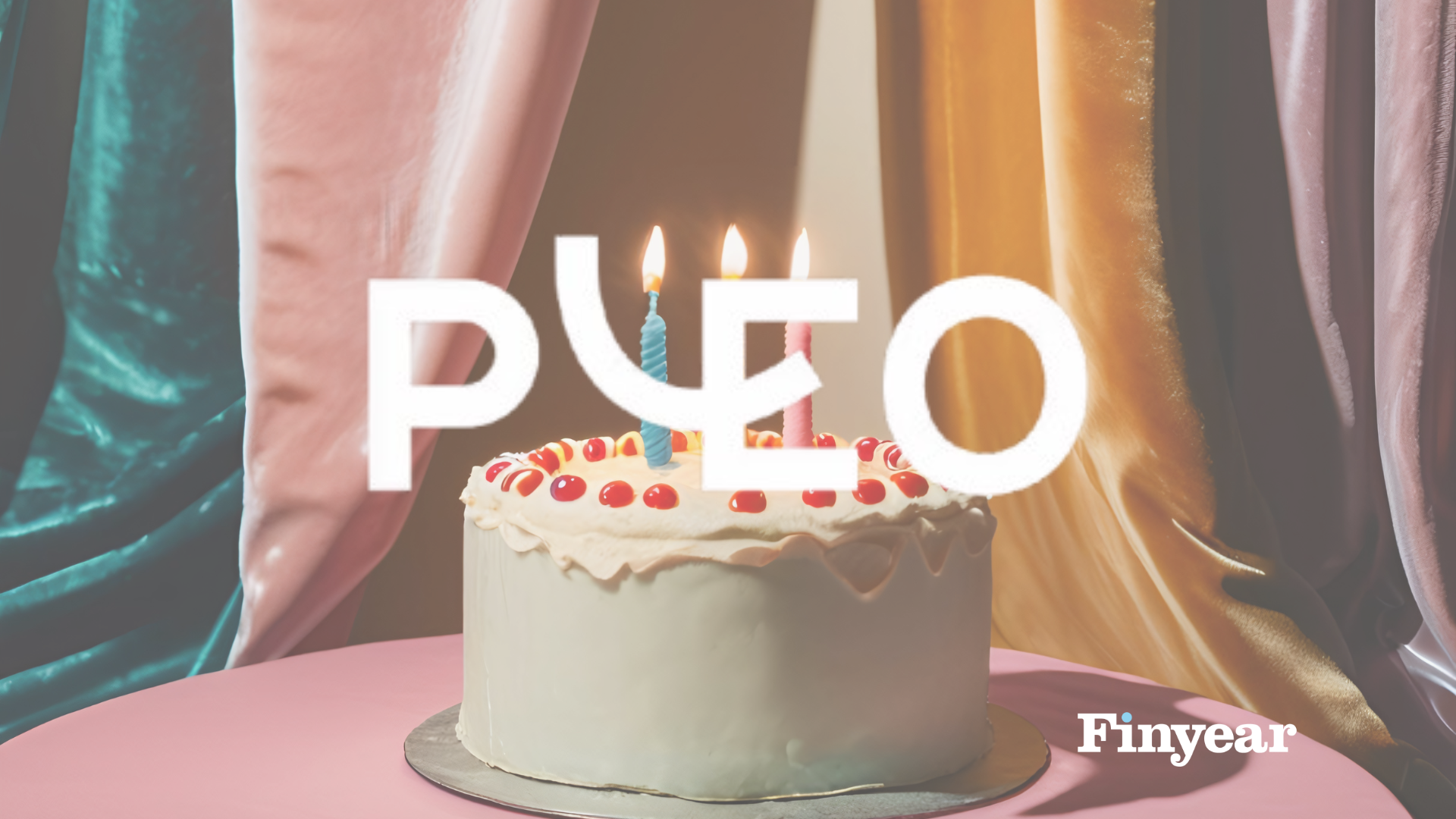 pleo, fintech, finyear