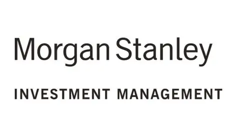 Morgan Stanley mise 49M€ sur Amber Electric pour décarboner les foyers européens — E.ON co-investit
